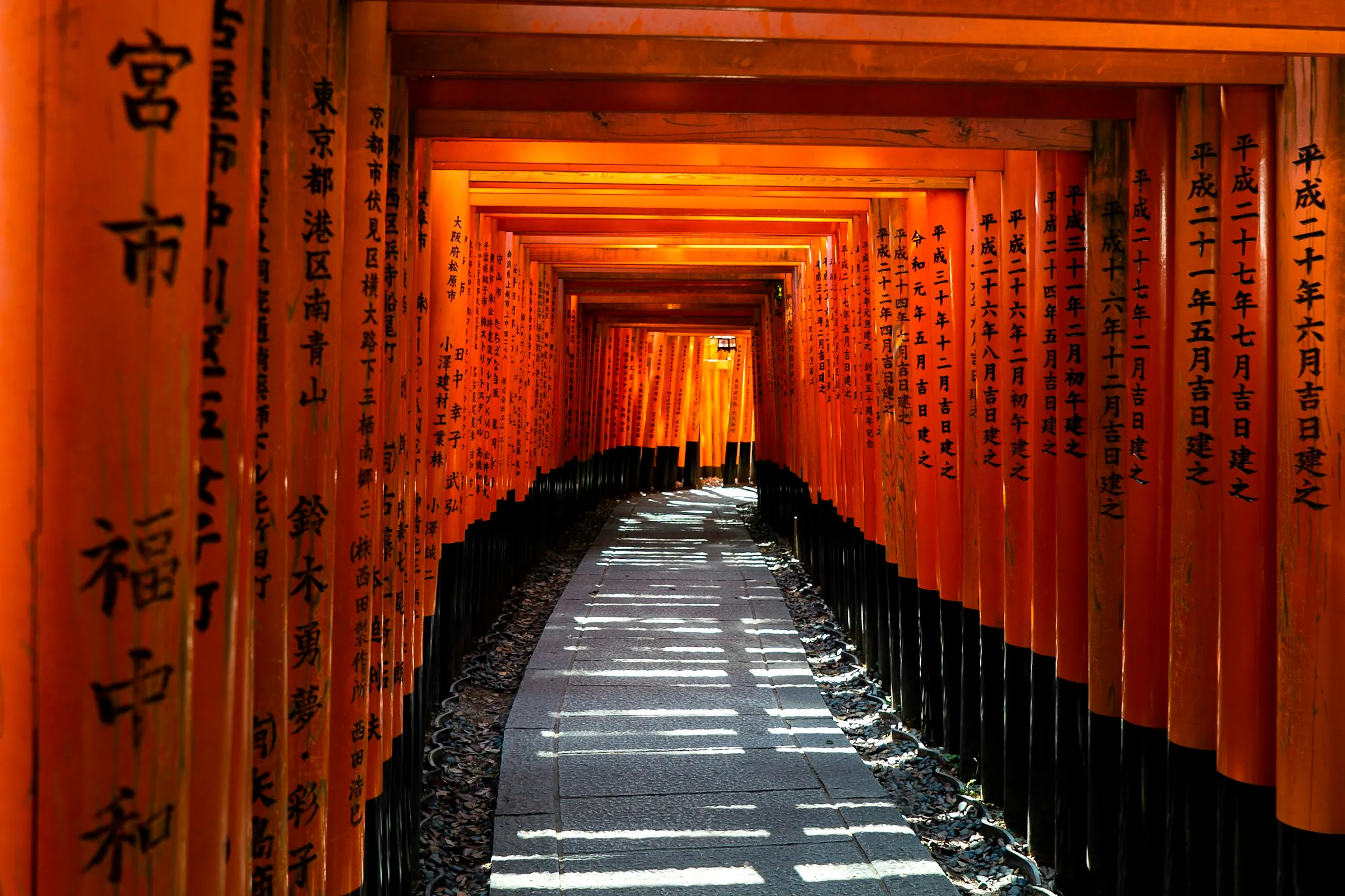 Photo: David Emrich / Unsplash