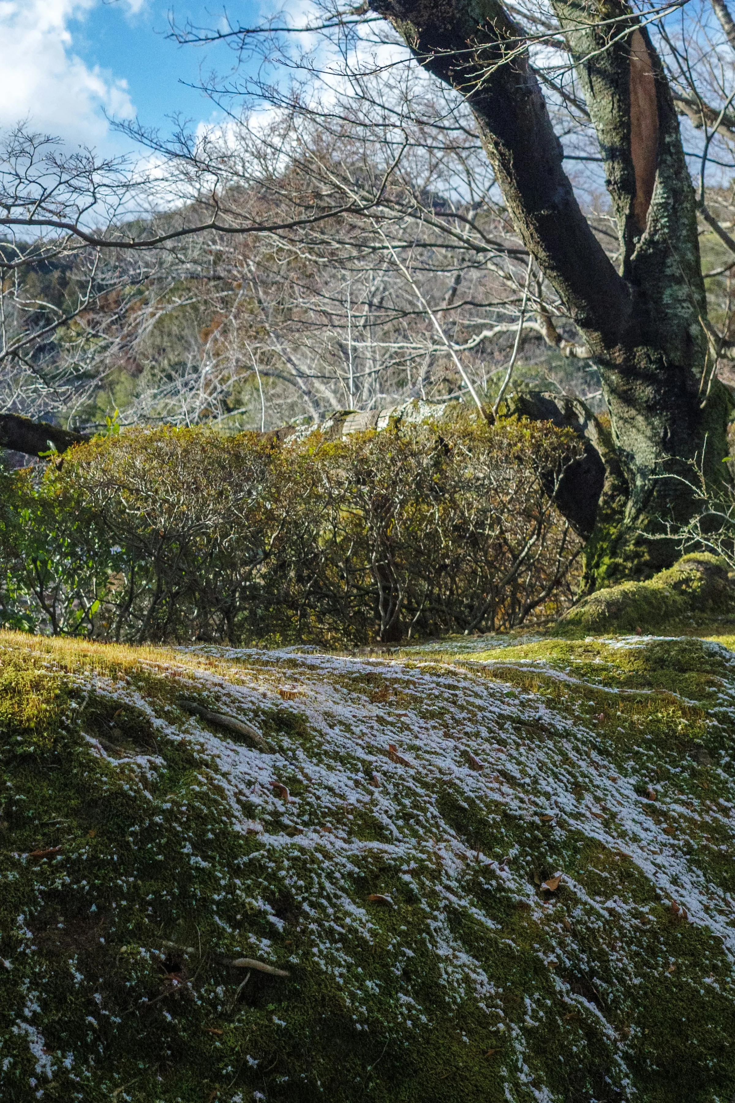 Photo: Leongsan / Unsplash