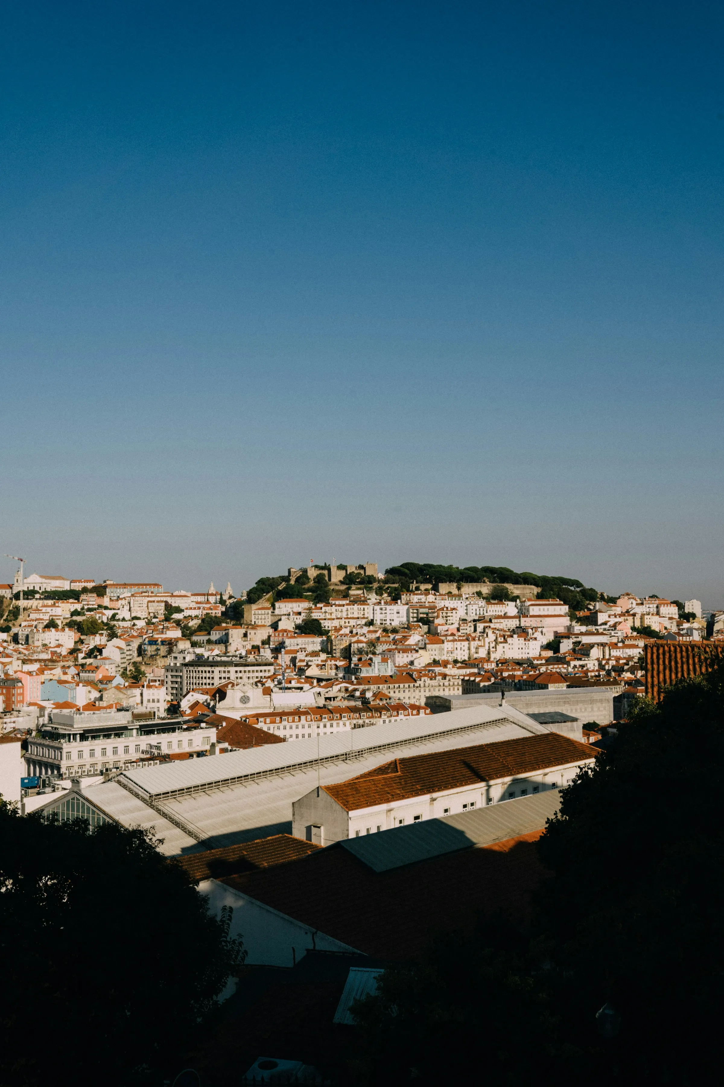Photo: Luis / Unsplash